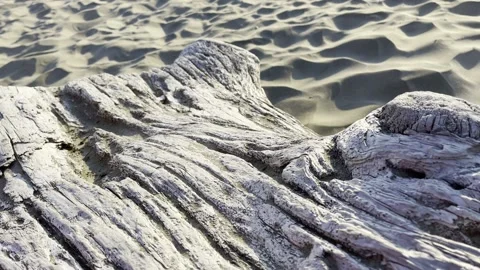 Wood and sand Stock Footage 156663517