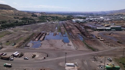 Wood and timber processing. A Pile Of Wood Chips At A Paper Mill Stock Footage 248116077