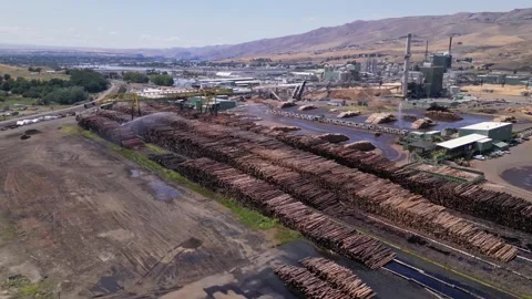 Wood and timber processing. A Pile Of Wood Chips At A Paper Mill Stock Footage 248116078
