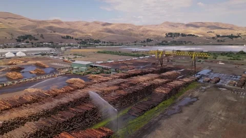 Wood and timber processing. A Pile Of Wood Chips At A Paper Mill Stock Footage 248121074