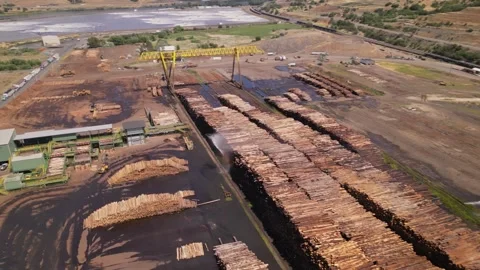 Wood and timber processing. A Pile Of Wood Chips At A Paper Mill Stock Footage 248121081