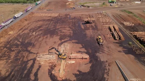 Wood and timber processing. A Pile Of Wood Chips At A Paper Mill Stock Footage 248121103