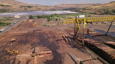 Wood and timber processing. A Pile Of Wood Chips At A Paper Mill Stock Footage 248121104