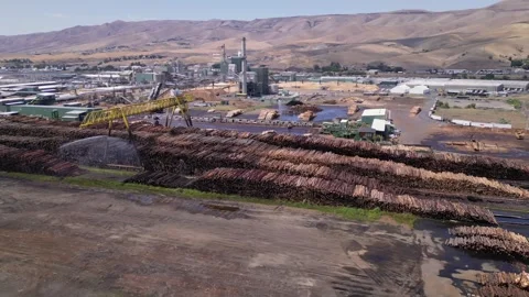 Wood and timber processing. A Pile Of Wood Chips At A Paper Mill Stock Footage 248121315