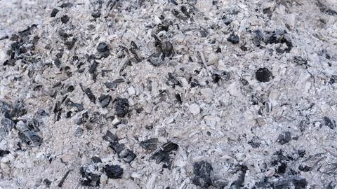 Wood ash texture Stock Photos