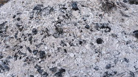 Wood ash texture Stock Photos