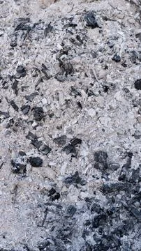 Wood ash texture Stock Photos