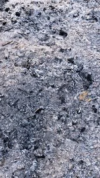 Wood ash texture Stock Photos