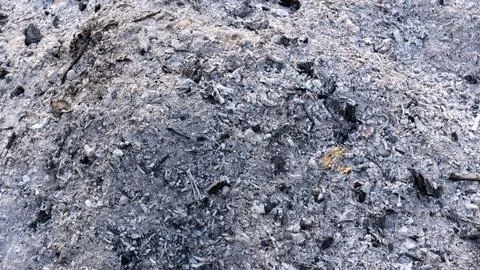 Wood ash texture Stock Photos