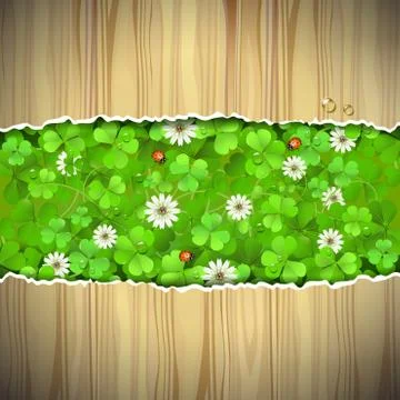 Wood background with clover Stock Illustration