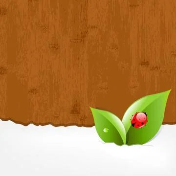 Wood background with ladybug Stock Illustration