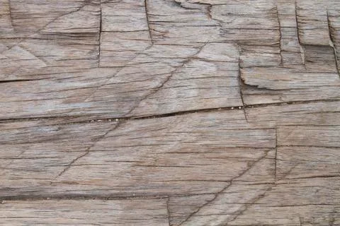 Wood background or texture Foto stock