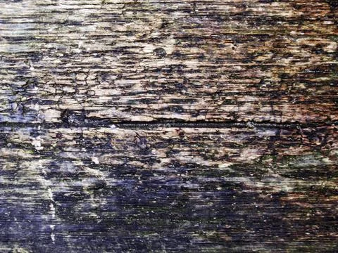 Wood background Stock Photos