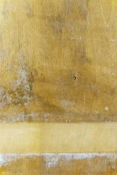 Wood background Фото