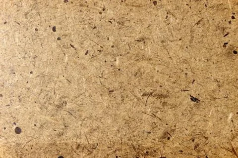 Wood background Фото