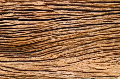 Wood background Stock Photos