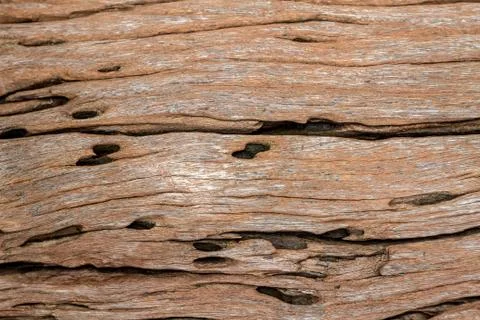 Wood background Stock Photos