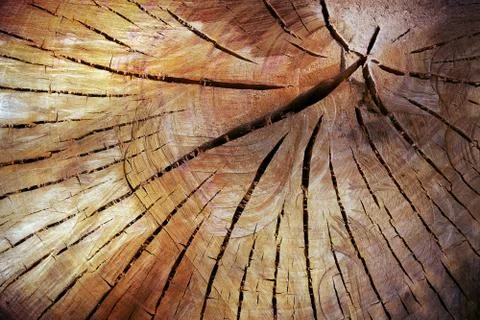 Wood background Stock Photos