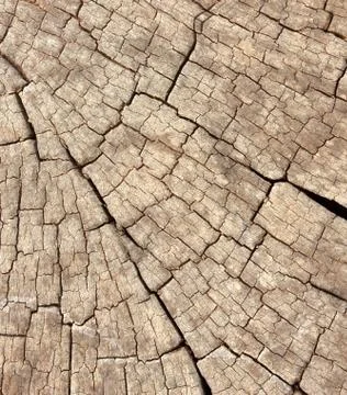 Wood background Stock Photos