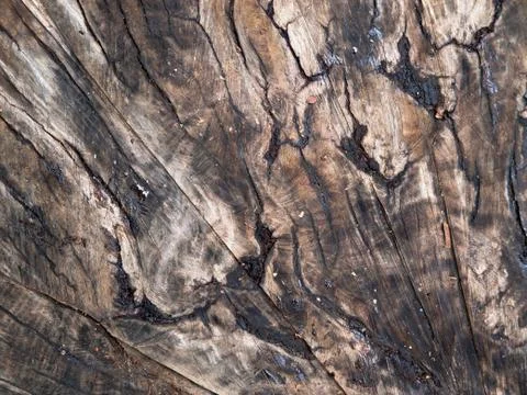 Wood background Stock Photos