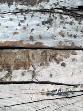 Wood background 스톡 사진
