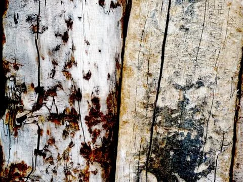 Wood background 스톡 사진