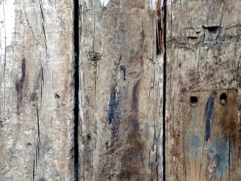 Wood background 写真素材
