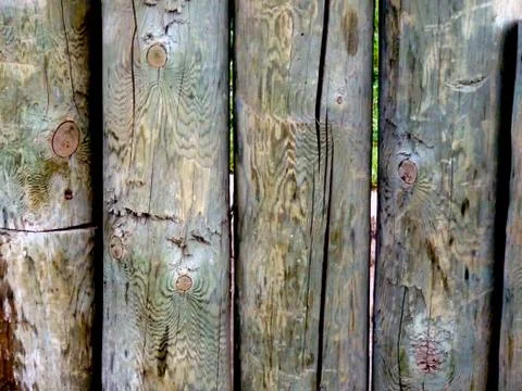 Wood background 写真素材
