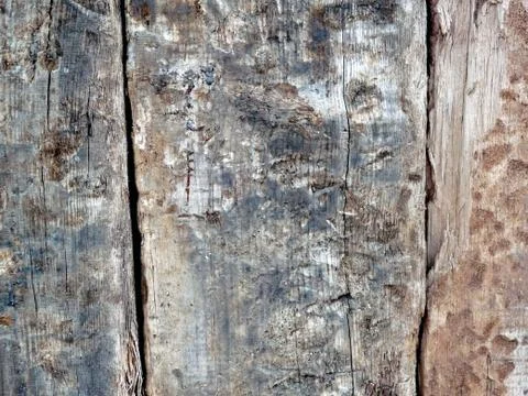 Wood background 写真素材