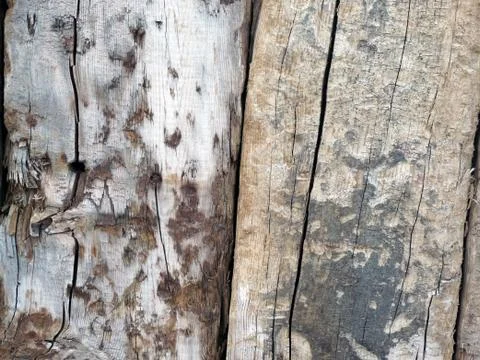 Wood background Stock Photos