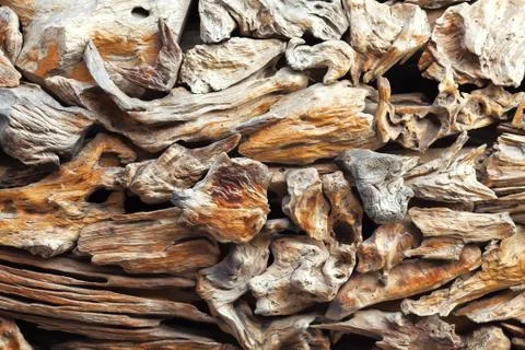 Wood background Stock Photos