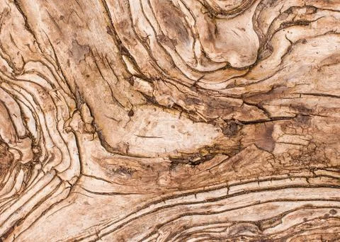 Wood background Stock Photos
