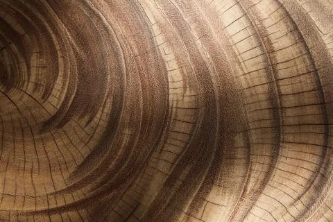 Wood background Stock Photos
