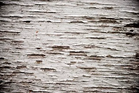 Wood background 库存照片