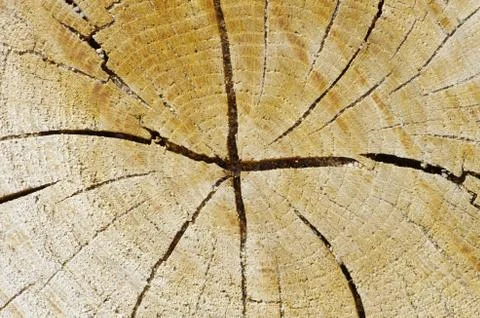 Wood  background Stock Photos