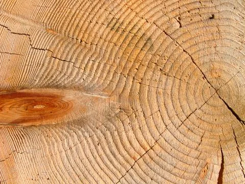 Wood background Stock Photos