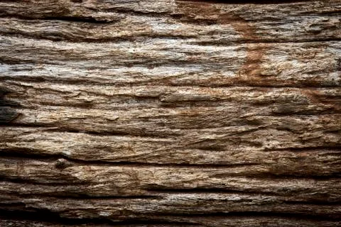 Wood Background Stock Photos