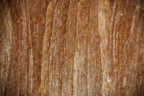 Wood background Stock Photos