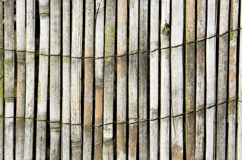 Wood background Stock Photos
