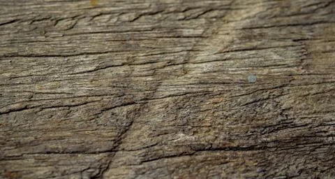 Wood background Foto stock