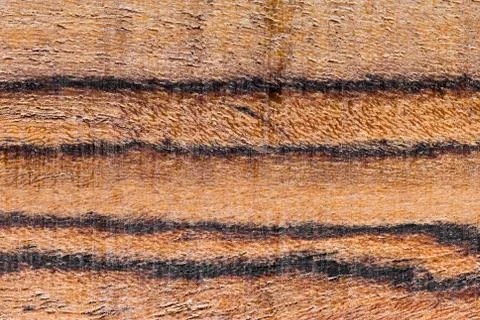 Wood background Stock Photos