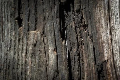 Wood background Stock Photos