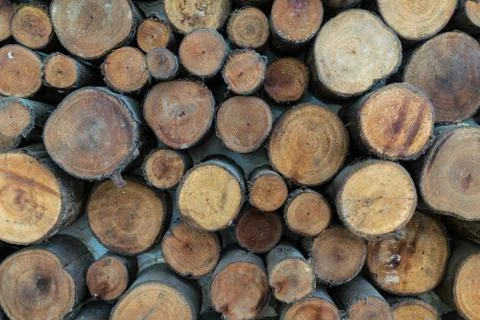 Wood background Stock Photos