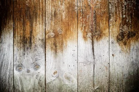 Wood background Фото