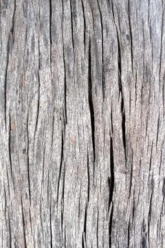 Wood background Stock Photos