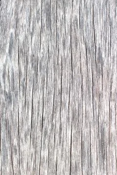 Wood background Stock Photos