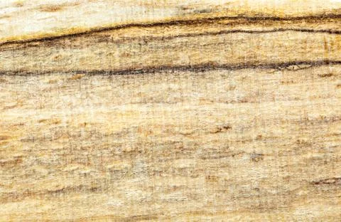 Wood background Foto stock