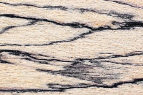 Wood background Foto stock