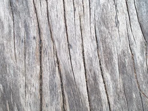Wood Background Stock Photos