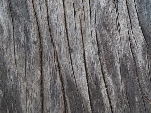 Wood Background Stock Photos